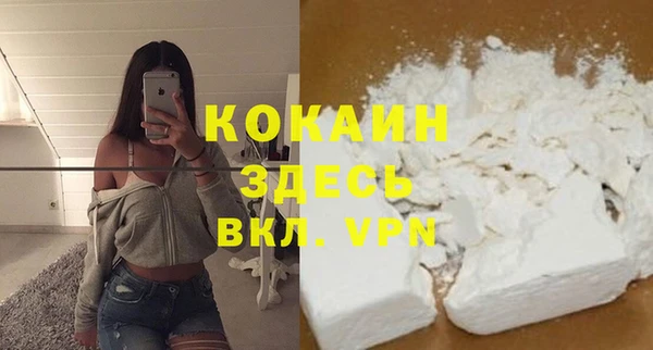 шишки Заволжье