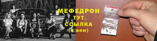 шишки Заволжье