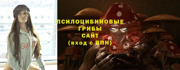 шишки Заволжье