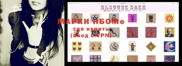 шишки Заволжье