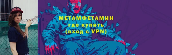 шишки Заволжье