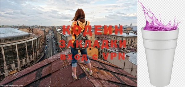 шишки Заволжье