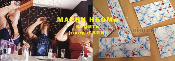 шишки Заволжье