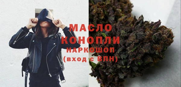 шишки Заволжье