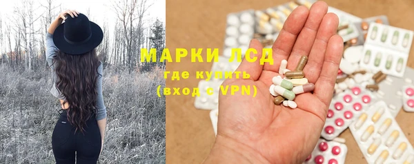 шишки Заволжье